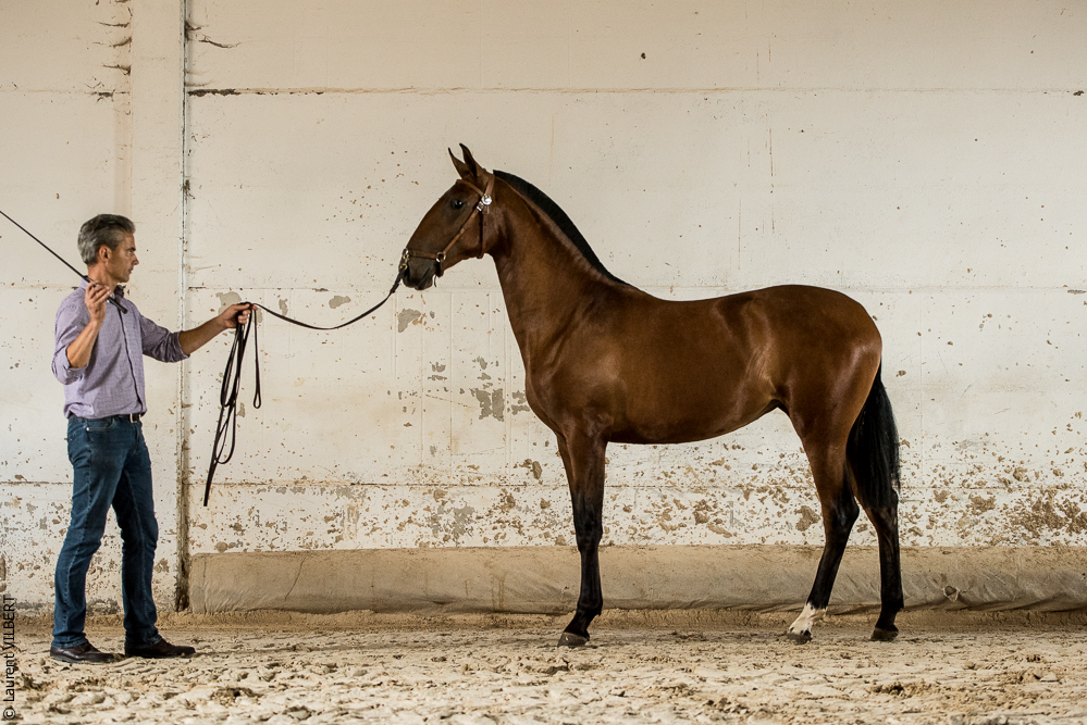 do Luar 20200705-1965