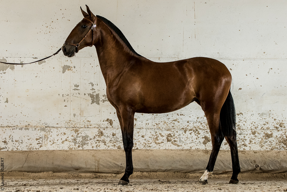 do Luar 20200705-1967