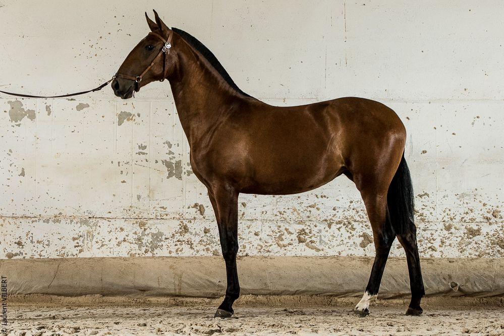 do Luar 20200705-1972