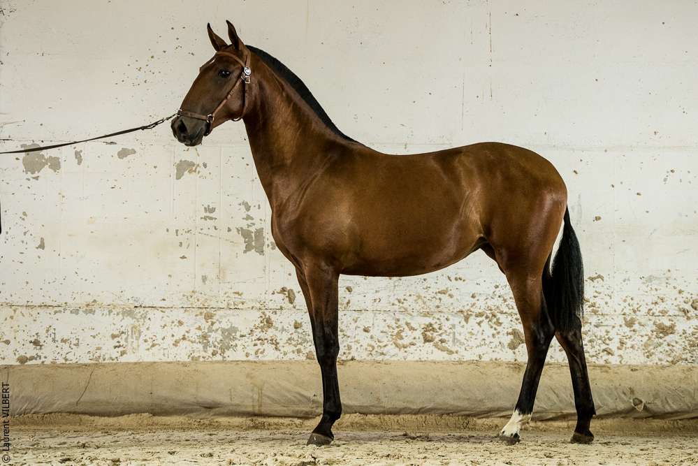 do Luar 20200705-1979