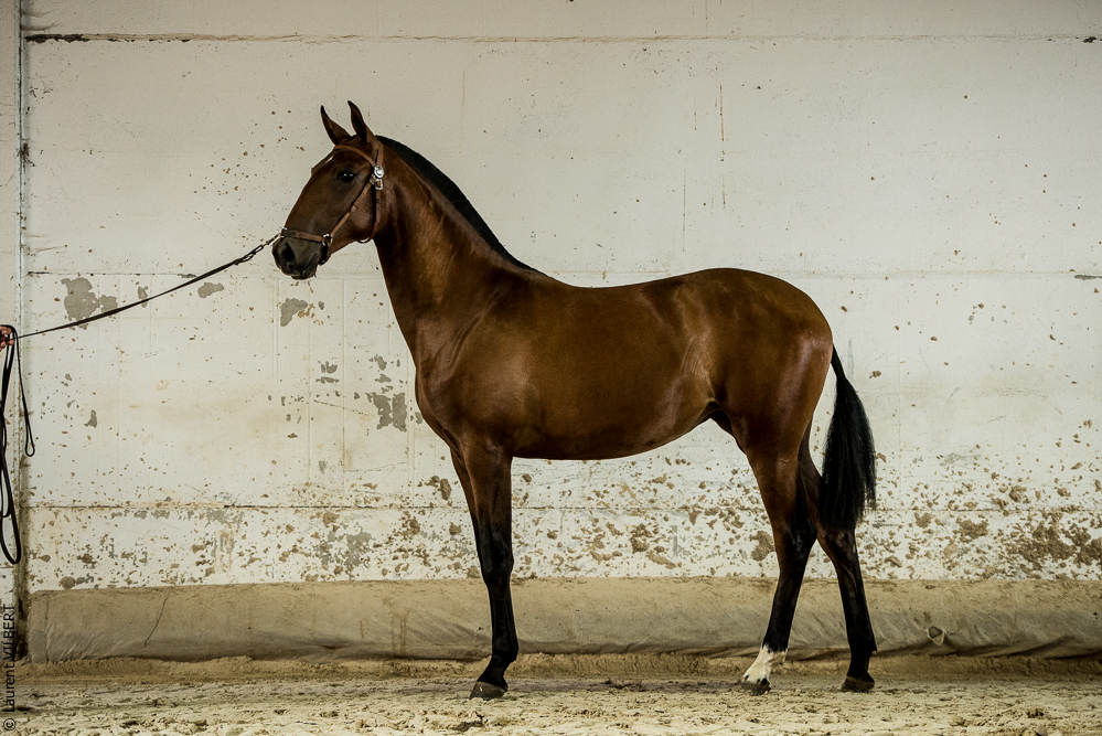 do Luar 20200705-1980