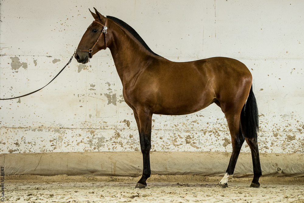 do Luar 20200705-1981