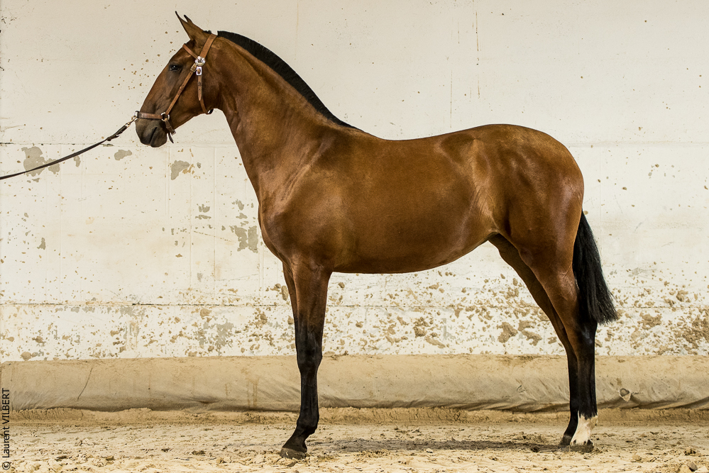 do Luar 20200705-1988