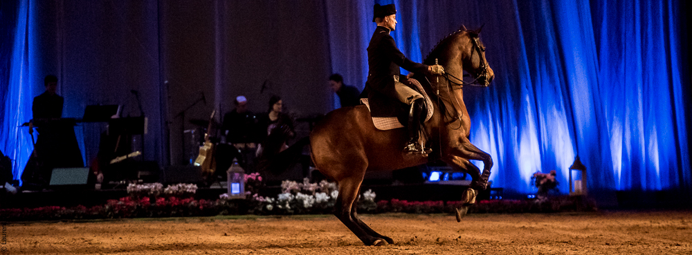 Musicales 20181019-0196