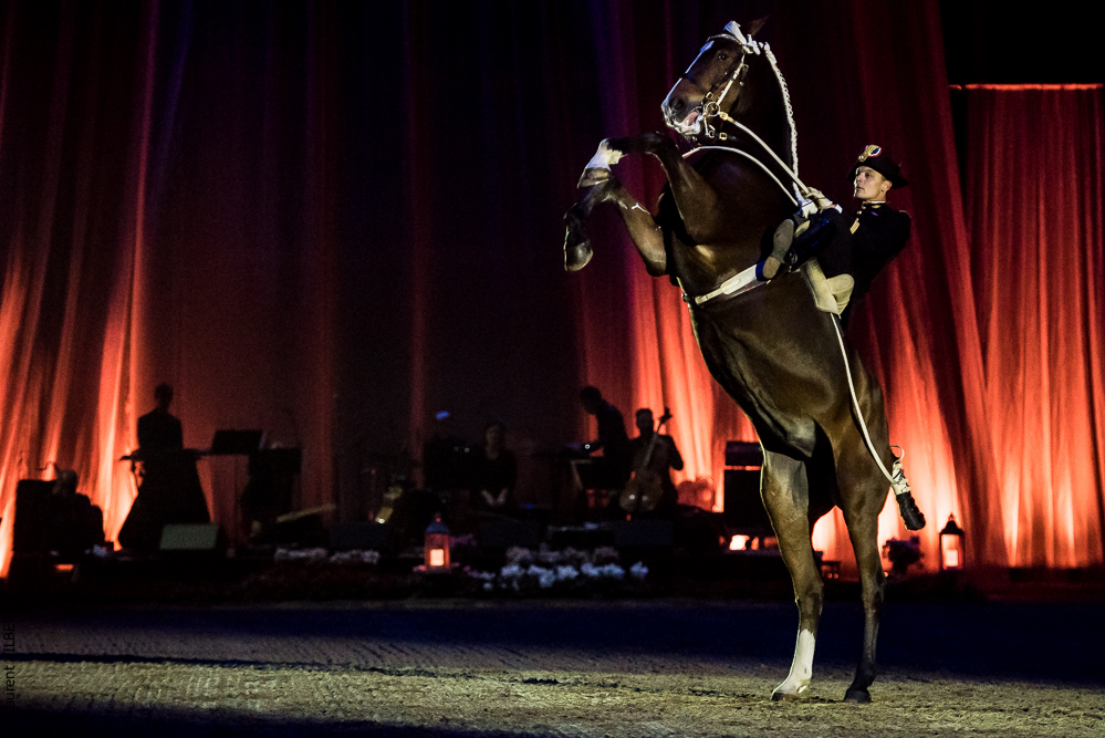 Musicales 20181019-0246