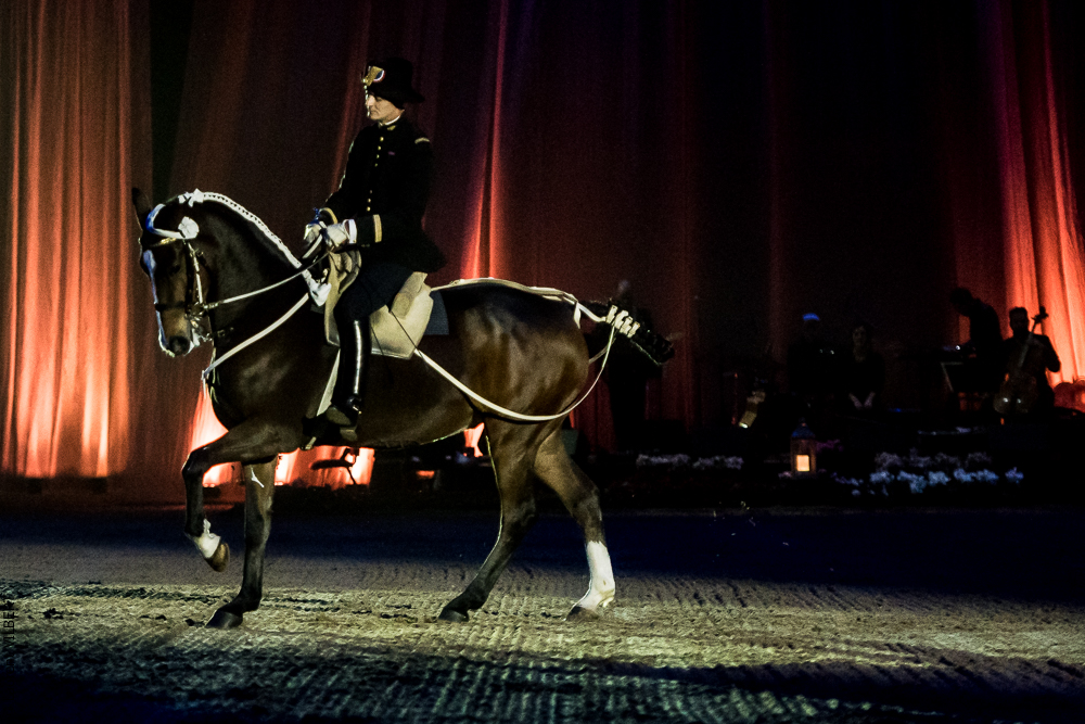 Musicales 20181019-0249