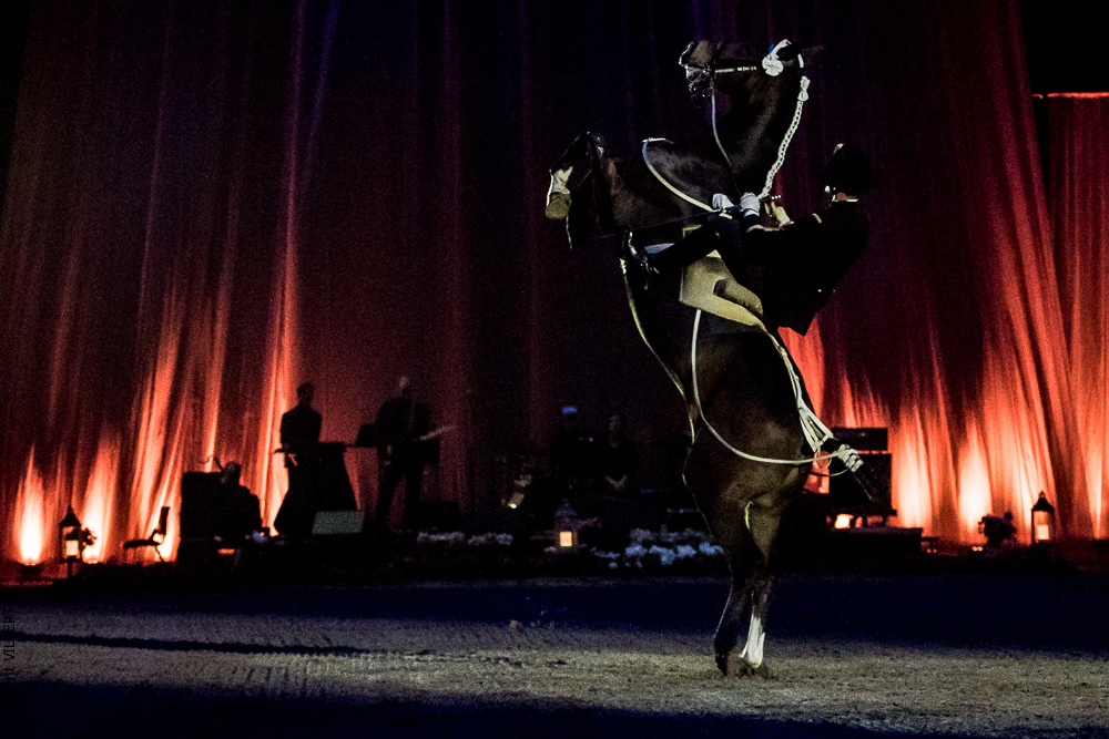 Musicales 20181019-0256