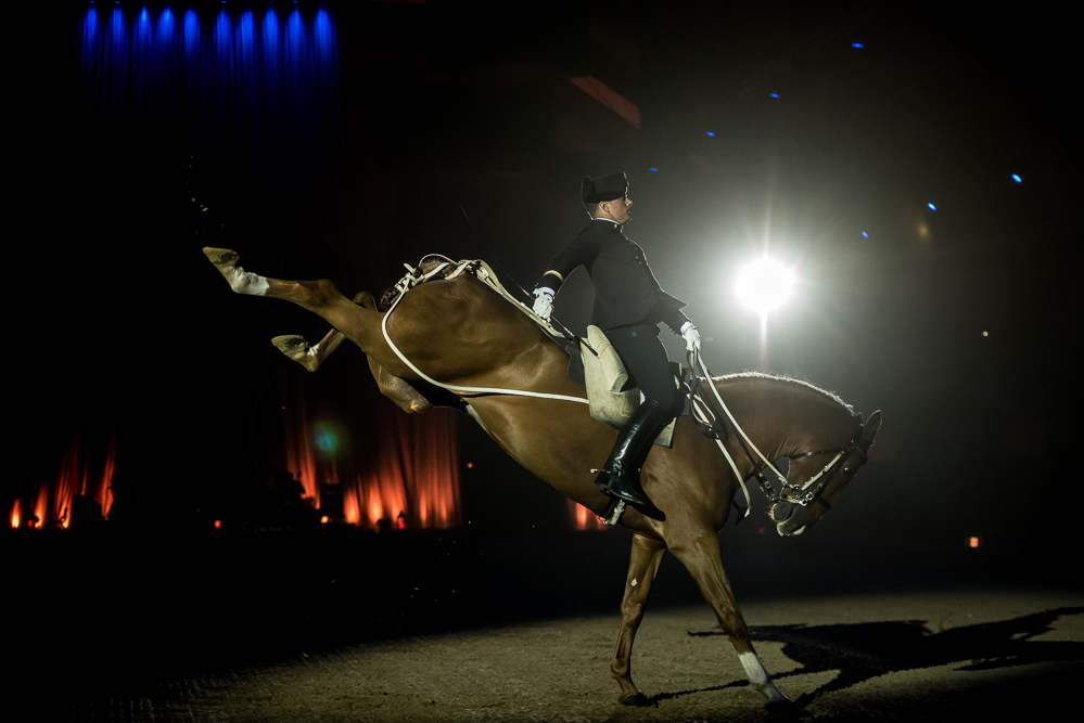 Musicales 20181019-0265