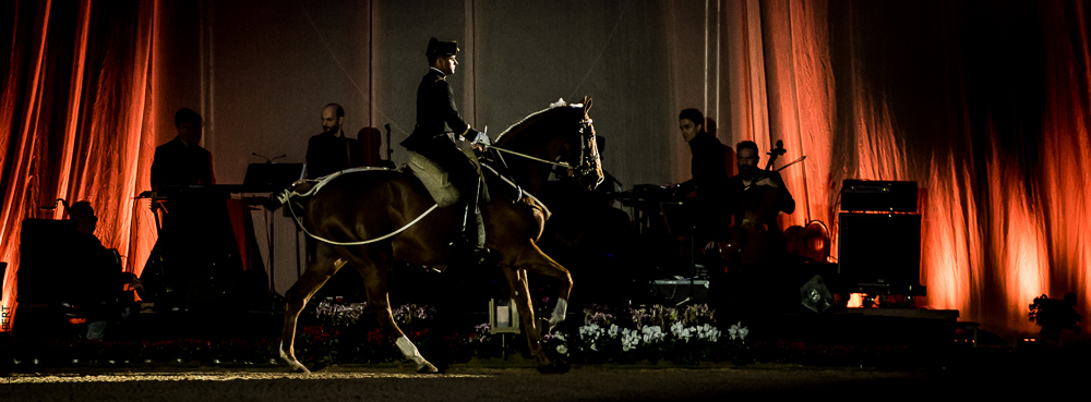 Musicales 20181019-0274