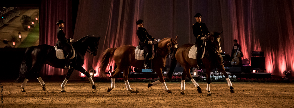 Musicales 20181019-0325