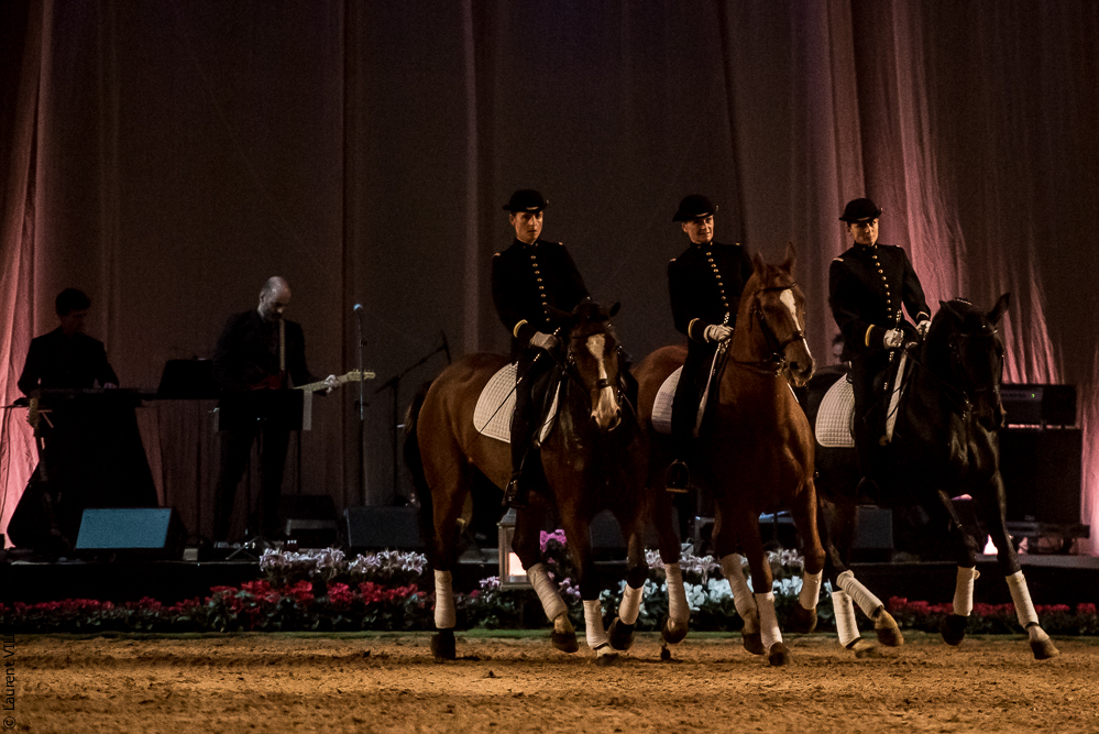 Musicales 20181019-0341