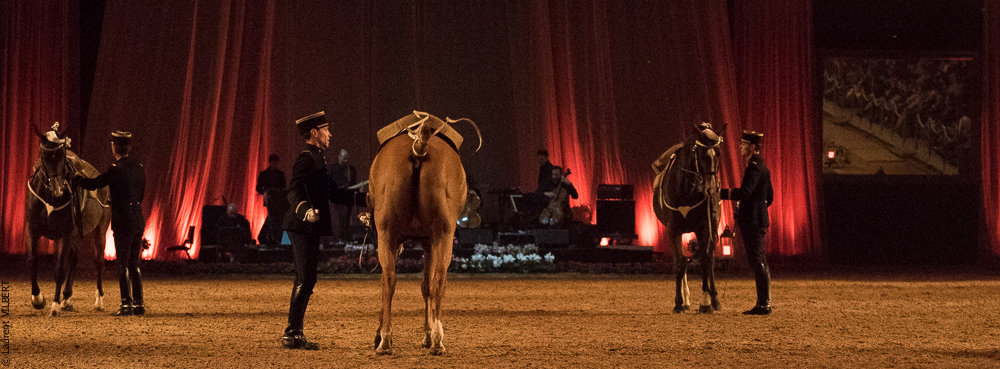 Musicales 20181019-0559