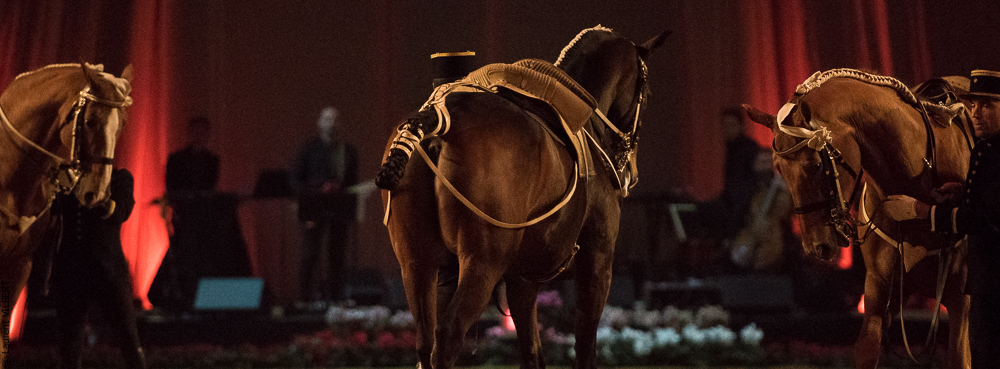 Musicales 20181019-0562