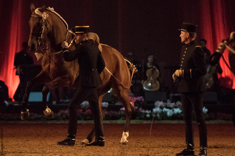 Musicales 20181019-0572