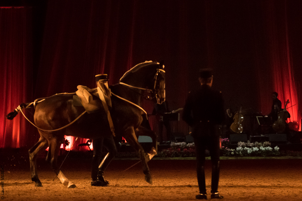 Musicales 20181019-0613