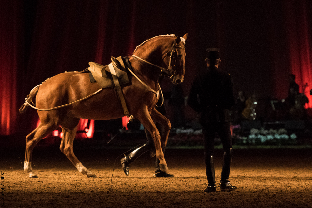 Musicales 20181019-0616