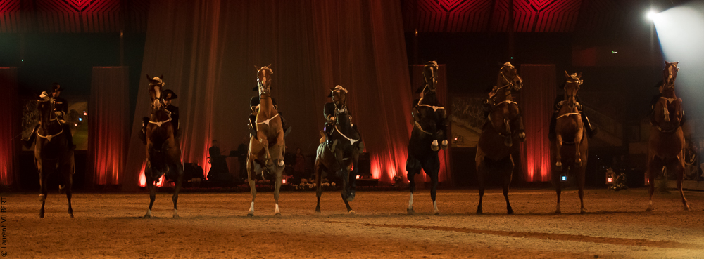 Musicales 20181019-0821