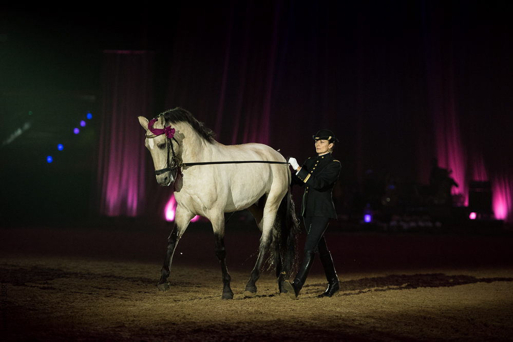 Musicales 20181019-0948