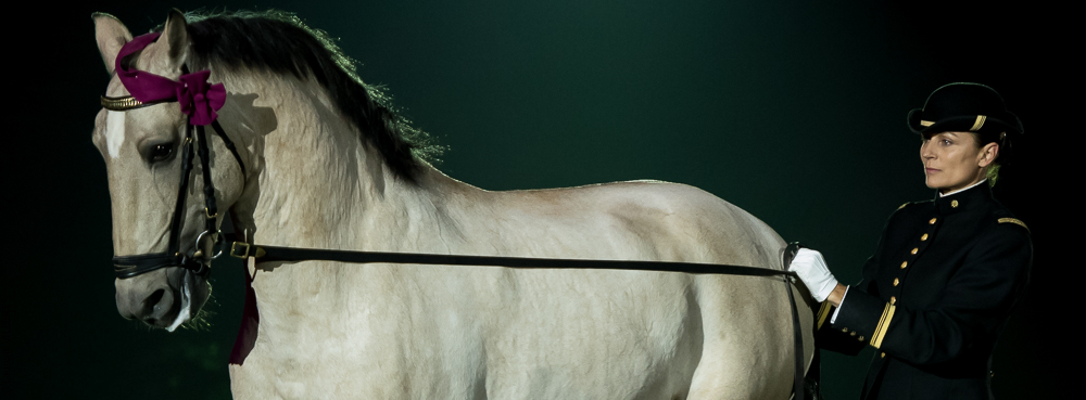 Musicales 20181019-0952