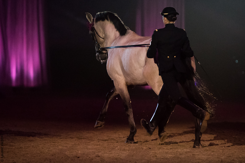 Musicales 20181019-0964