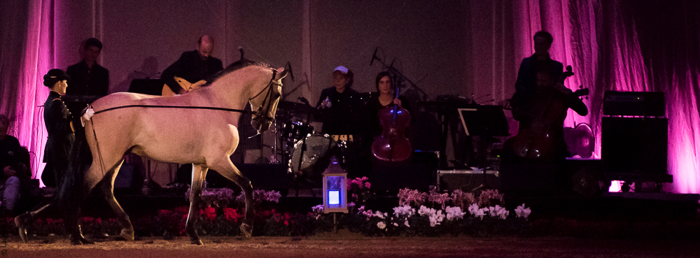 Musicales 20181019-0975