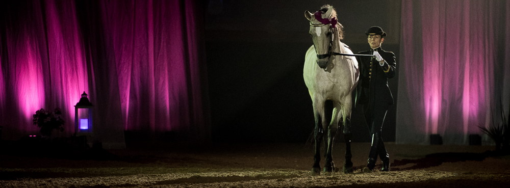 Musicales 20181019-0977