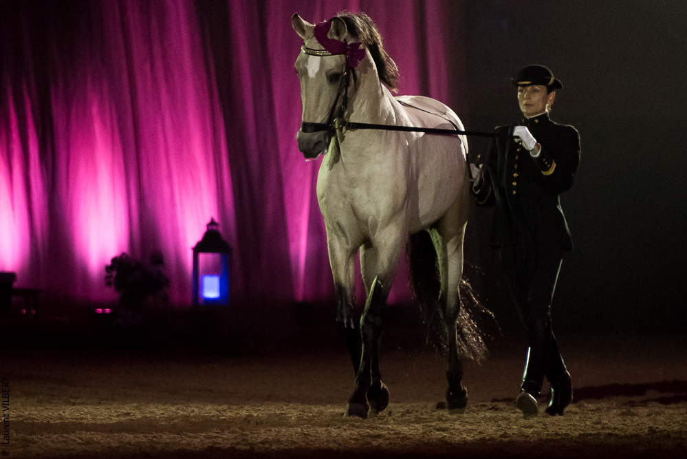 Musicales 20181019-0981