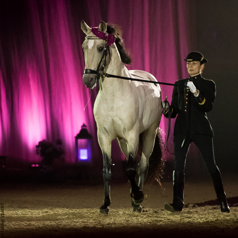 Musicales 20181019-0982