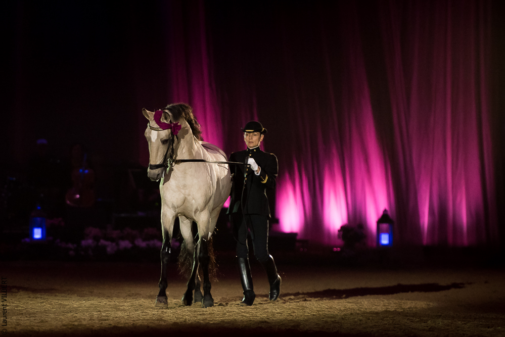 Musicales 20181019-0987