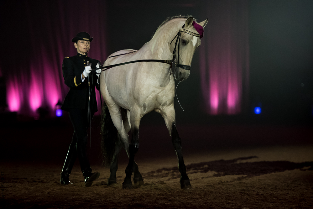 Musicales 20181019-1001