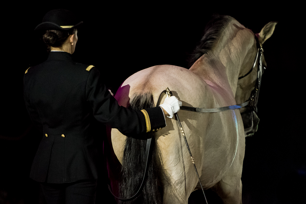 Musicales 20181019-1013