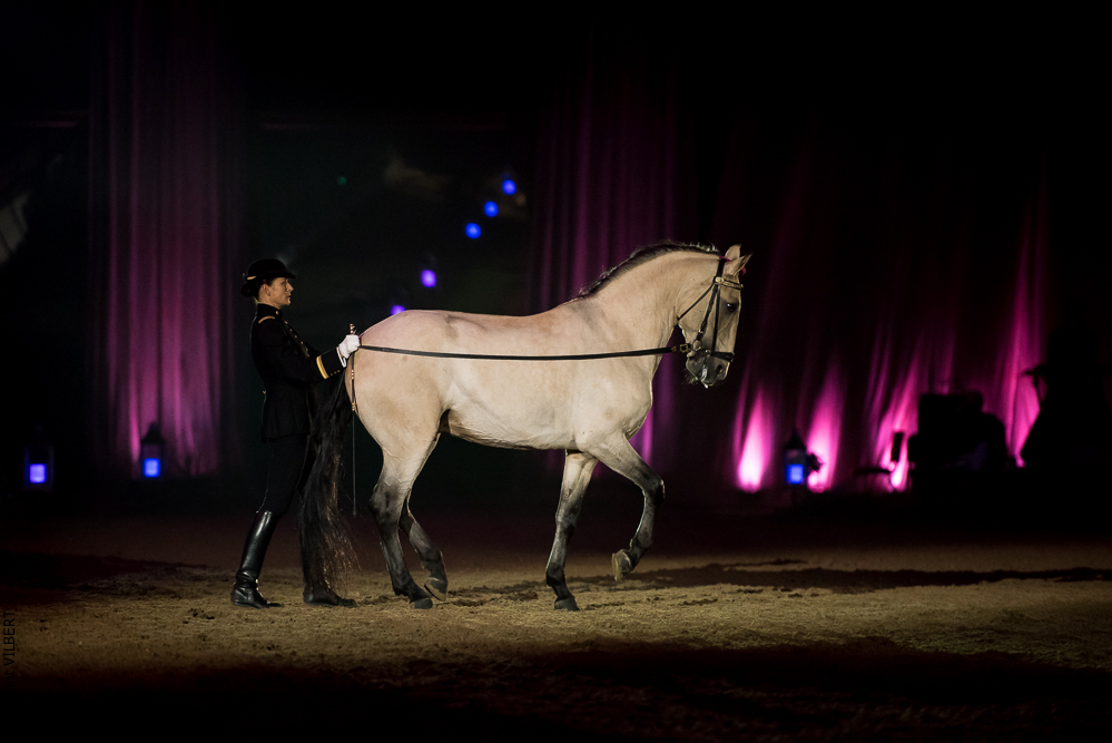 Musicales 20181019-1022