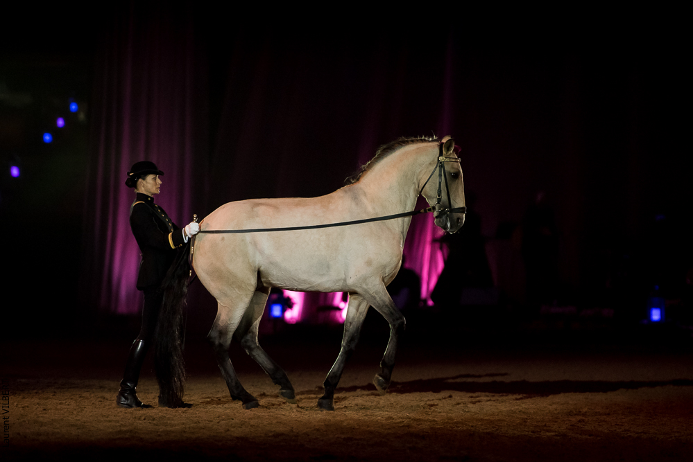 Musicales 20181019-1025