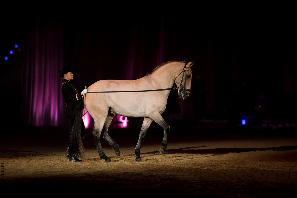 Musicales 20181019-1027