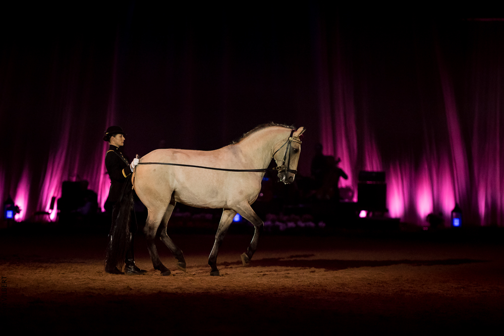 Musicales 20181019-1031