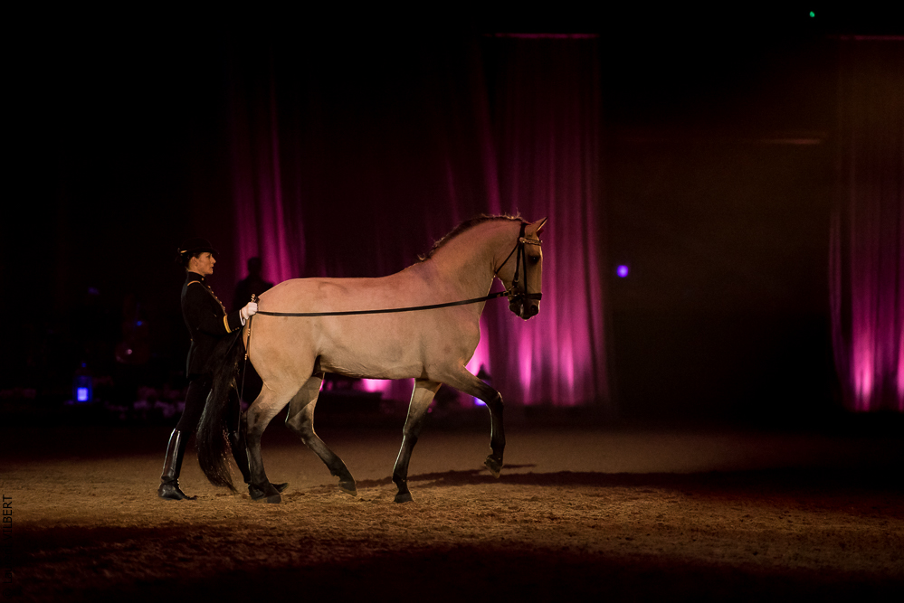 Musicales 20181019-1035