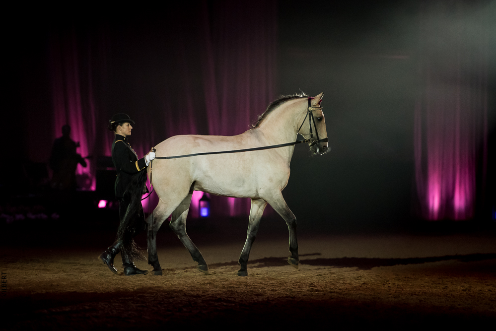 Musicales 20181019-1036