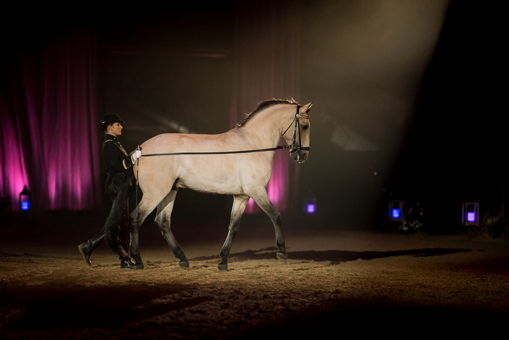 Musicales 20181019-1038