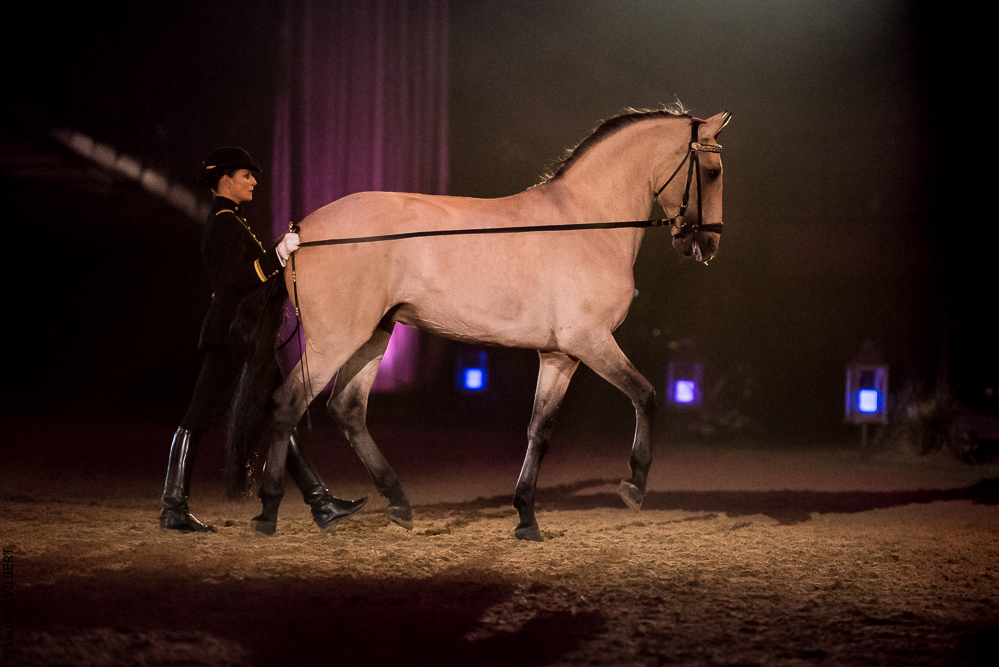 Musicales 20181019-1039