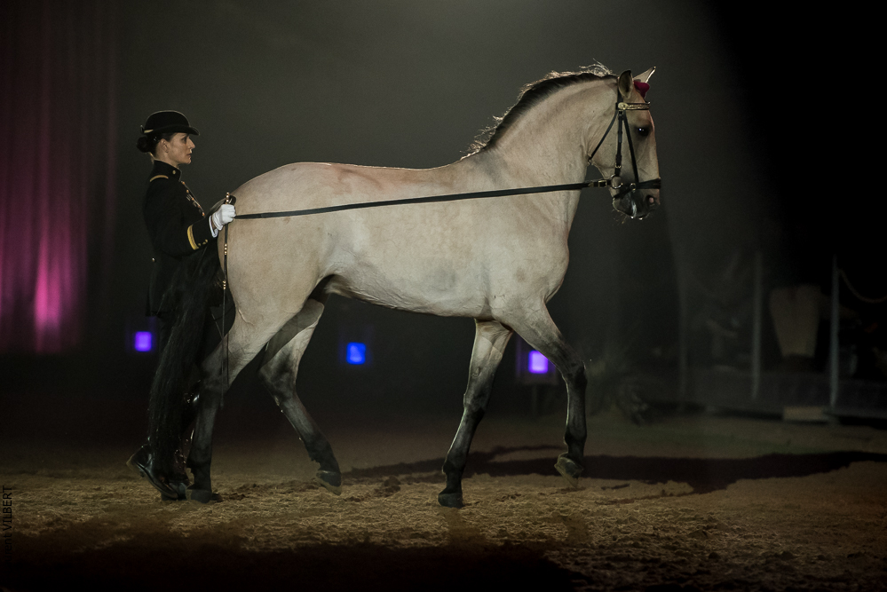 Musicales 20181019-1041