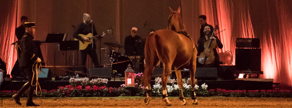 Musicales 20181019-1045