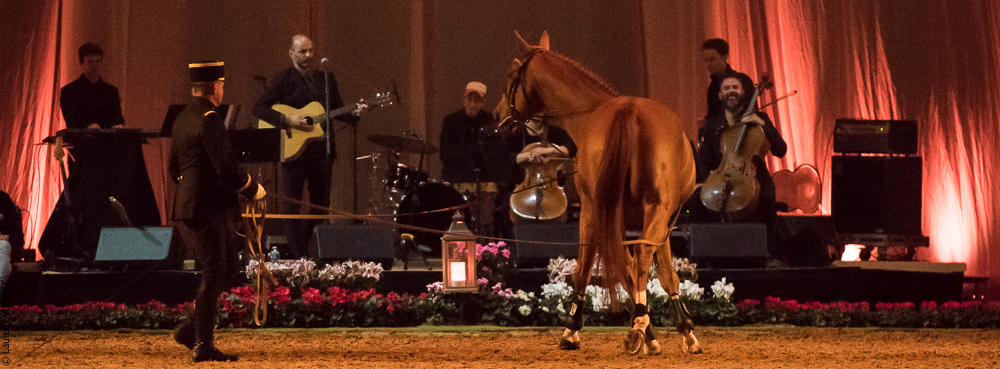 Musicales 20181019-1046