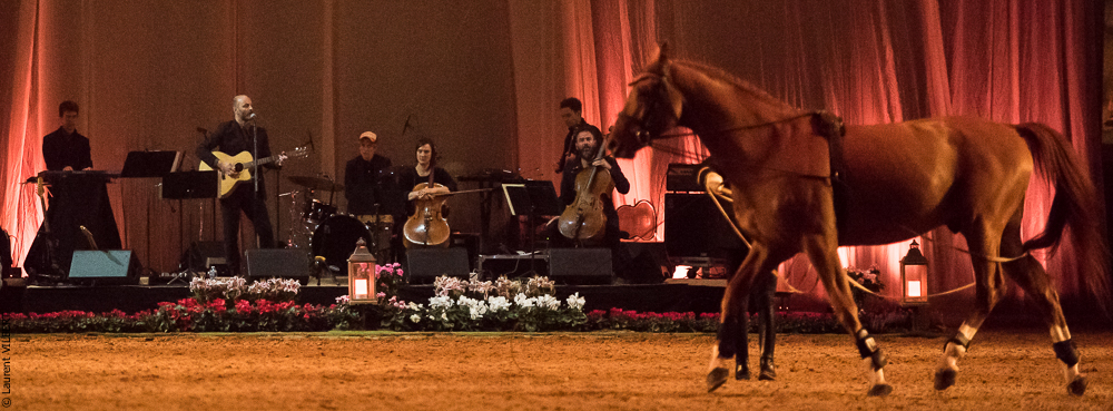 Musicales 20181019-1052