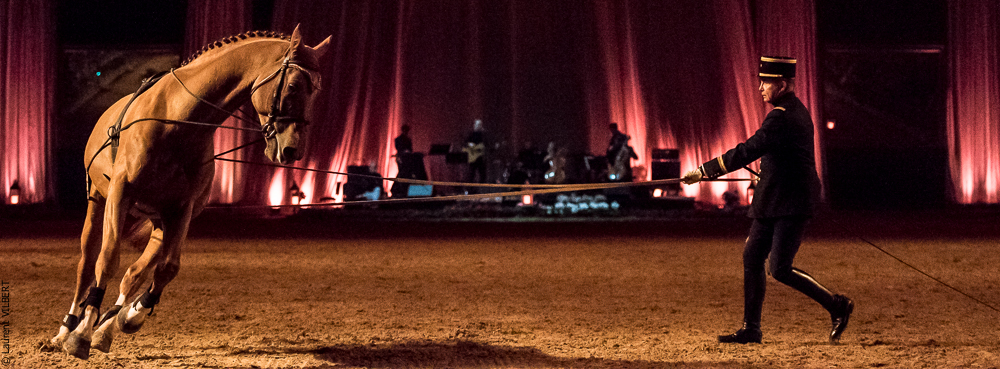 Musicales 20181019-1110