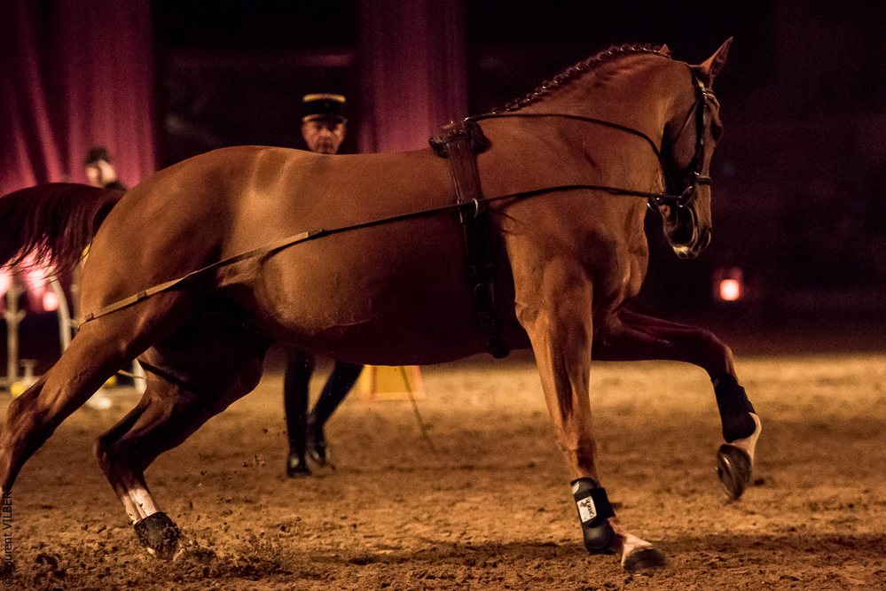 Musicales 20181019-1136