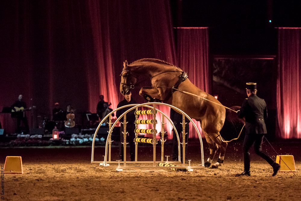 Musicales 20181019-1153