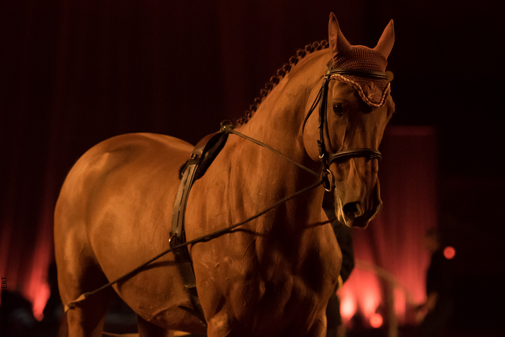 Musicales 20181019-1169