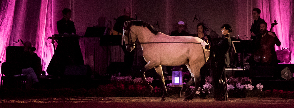 Musicales 20181019-1184