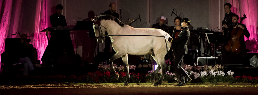 Musicales 20181019-1186