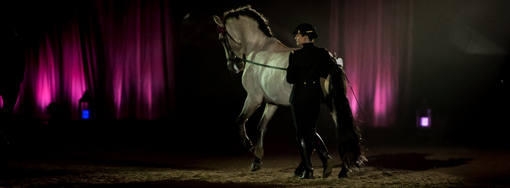 Musicales 20181019-1198